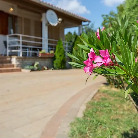 Apartment Ana Labin  Exterior photo